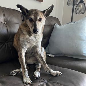 Meet your Posher, Sean